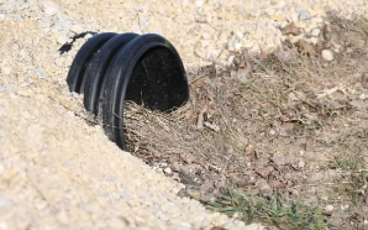 unsplash culvert image
